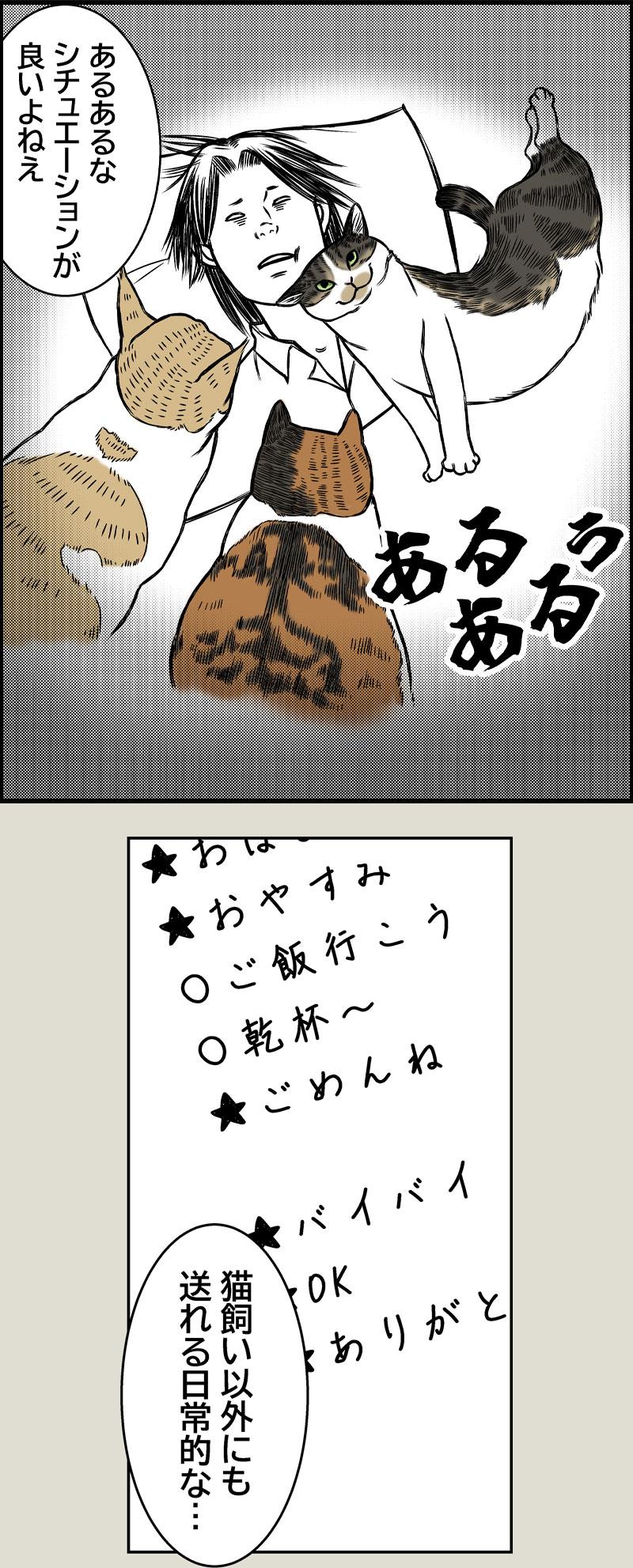 猫のありがとう？？