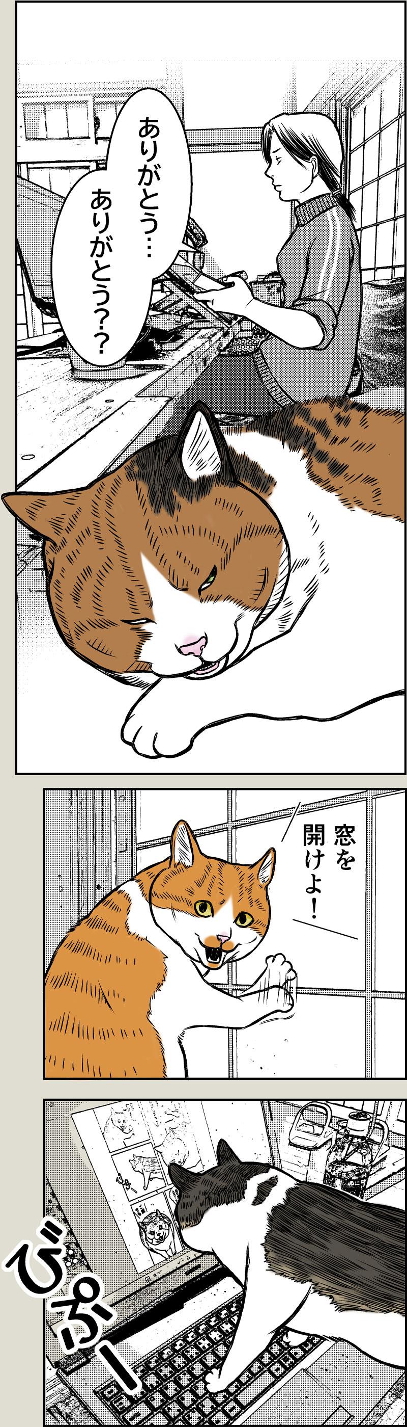 猫のありがとう？？