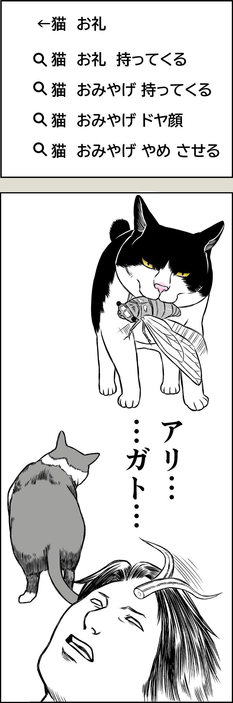 猫のありがとう？？