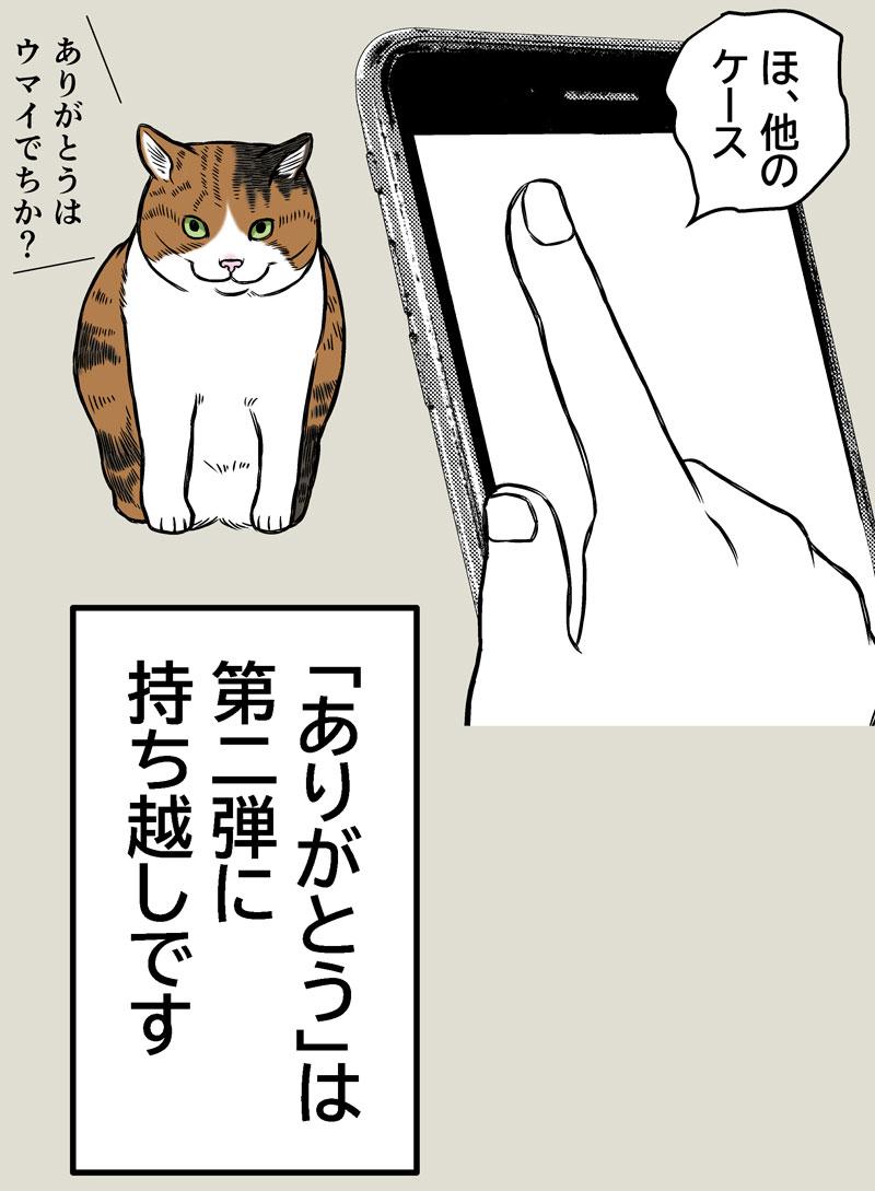 猫のありがとう？？