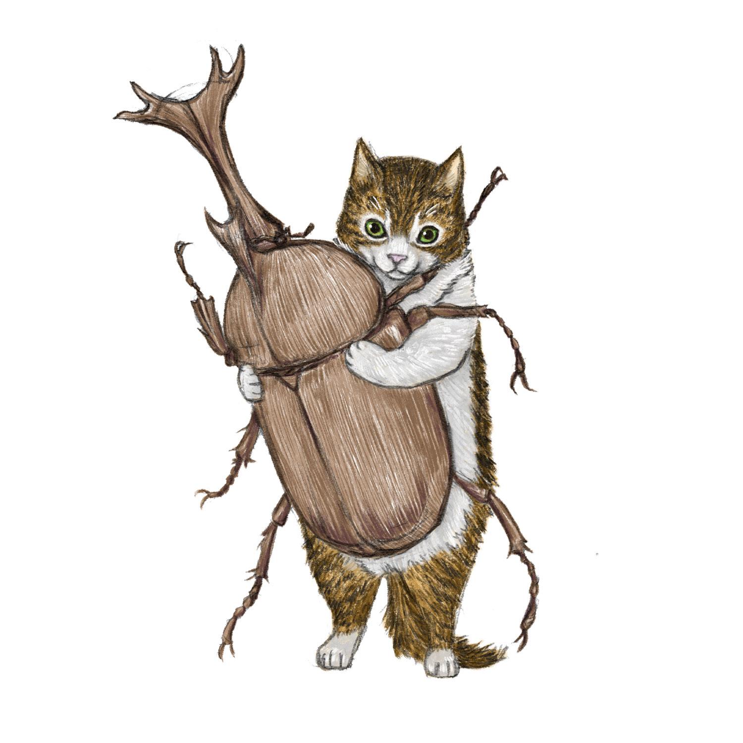 猫とカブトムシ