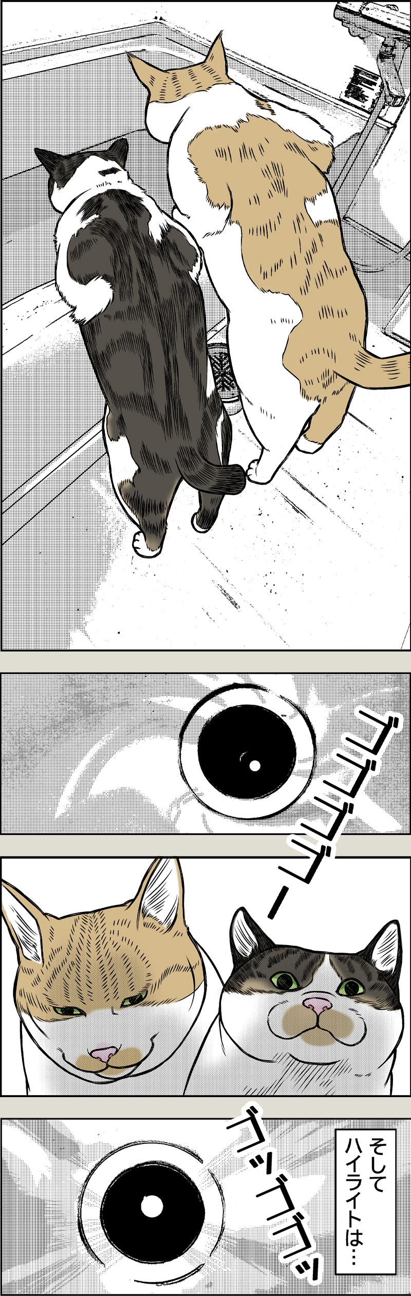 クラシ〇ン兄弟