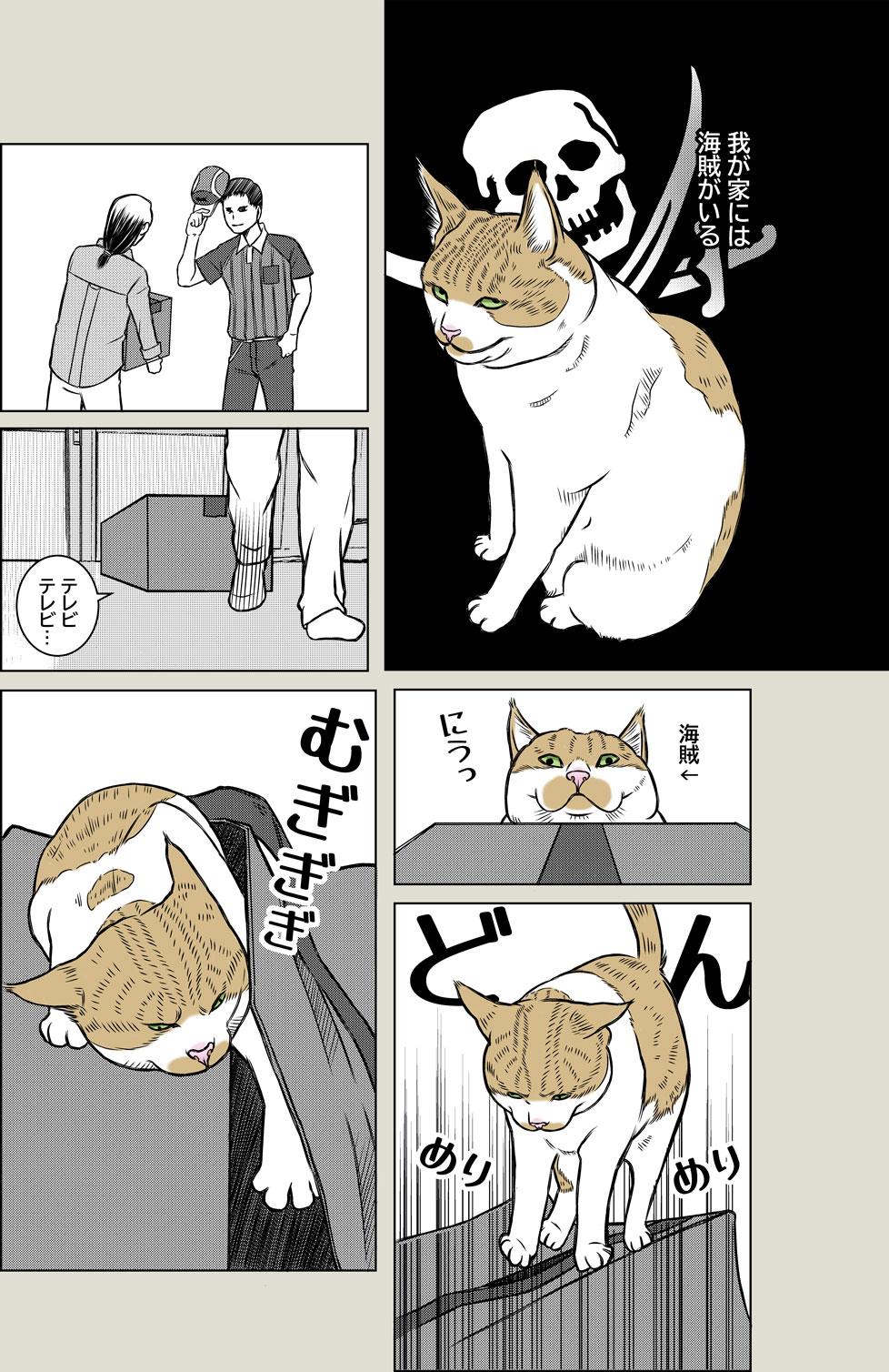 Pirates of the Caribenyan