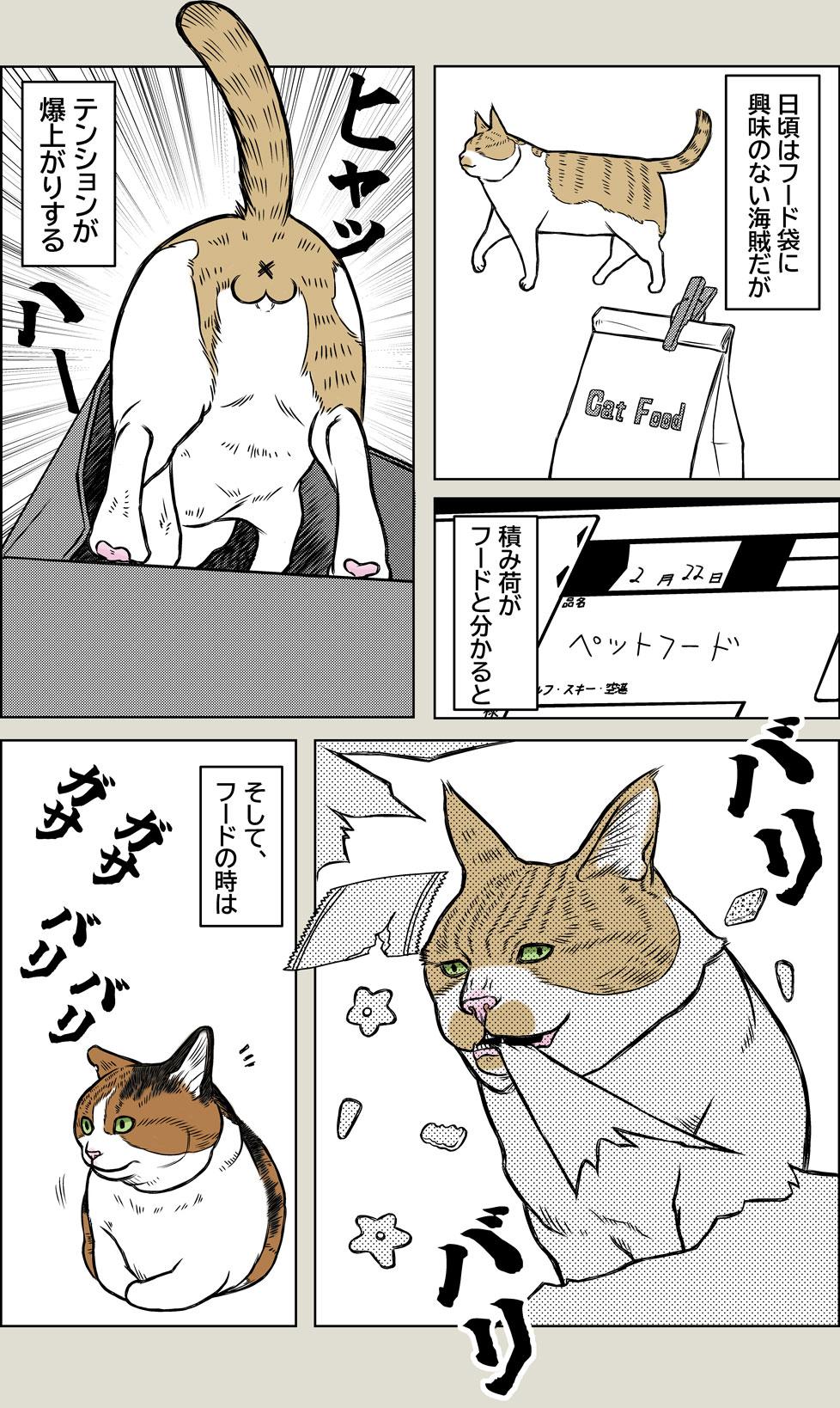 Pirates of the Caribenyan