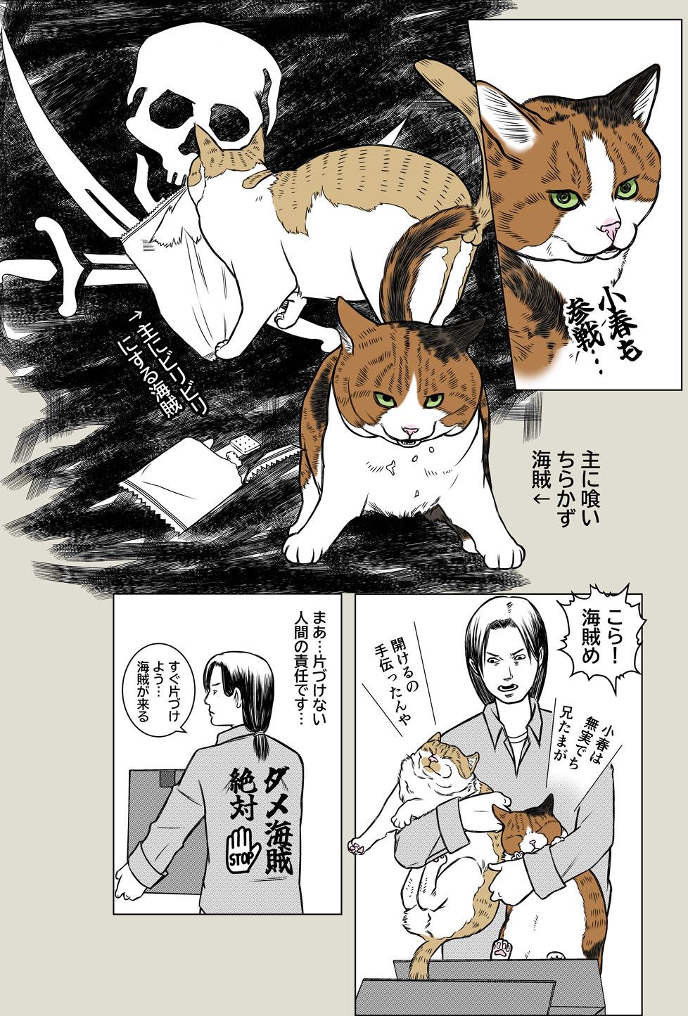 Pirates of the Caribenyan