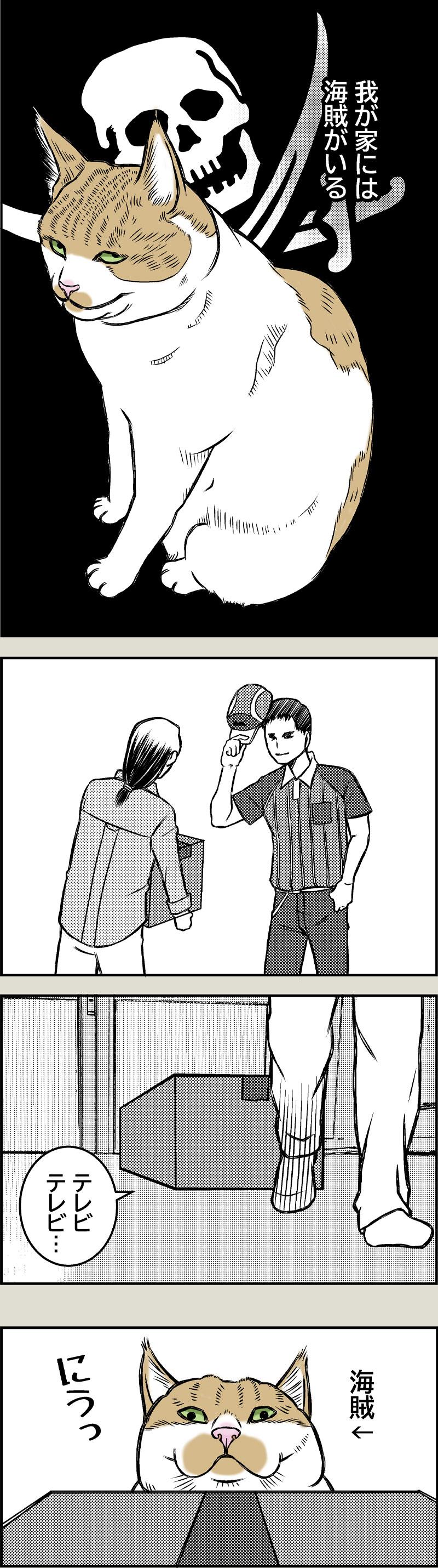 Pirates of the Caribenyan