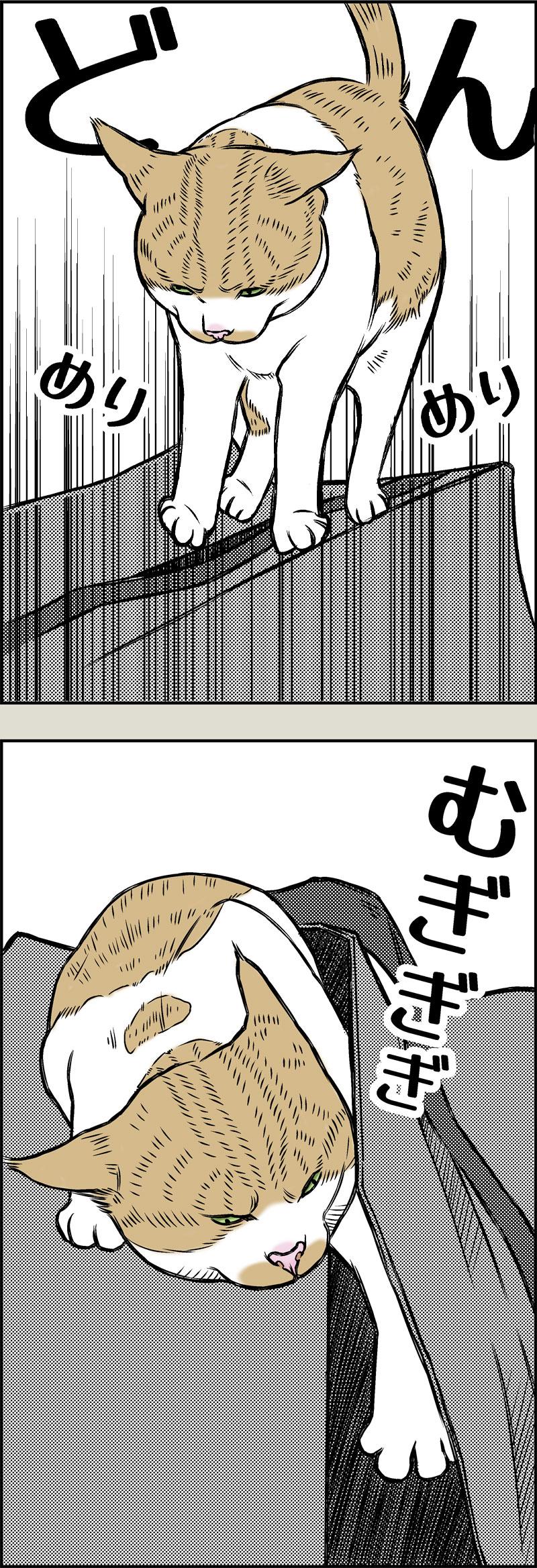 Pirates of the Caribenyan