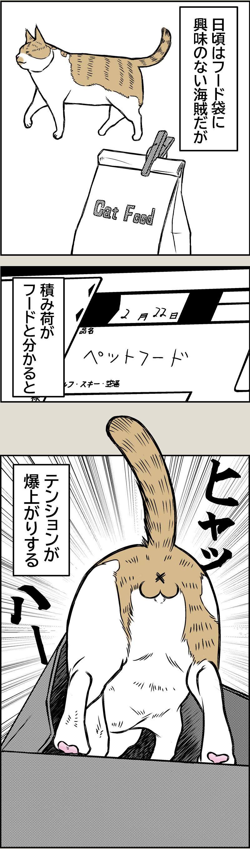 Pirates of the Caribenyan