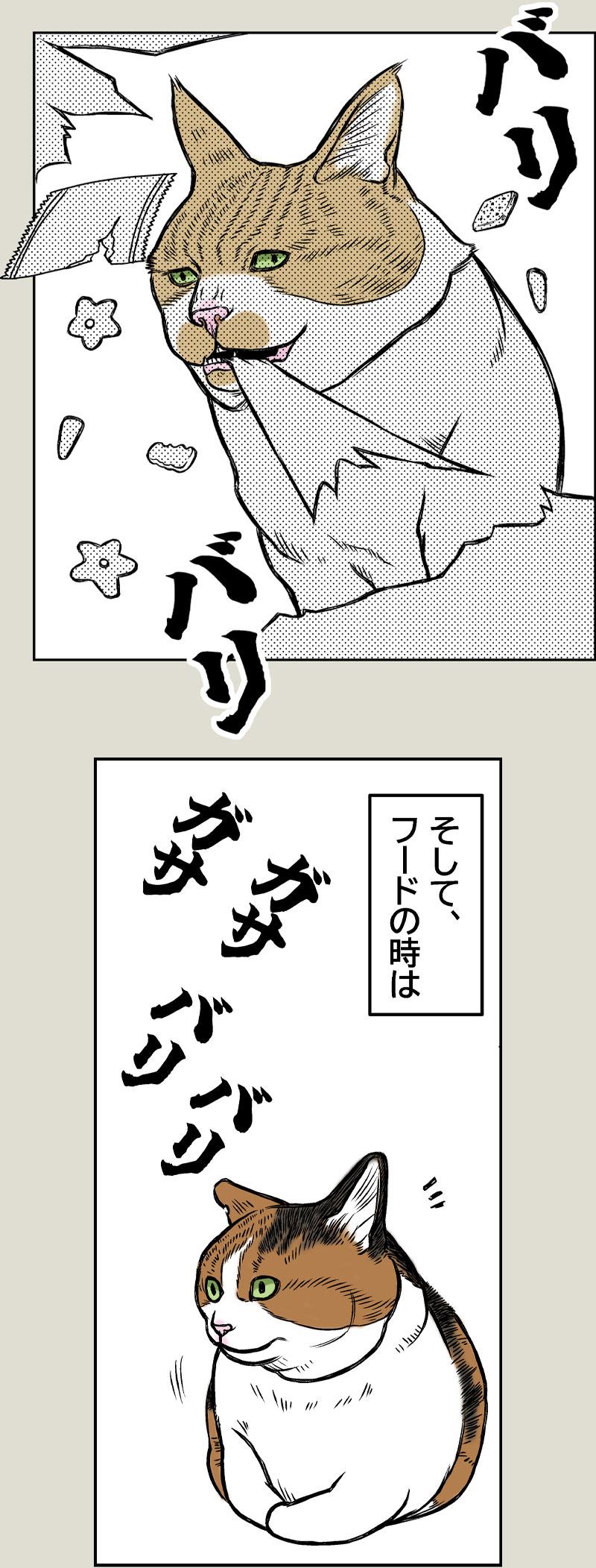 Pirates of the Caribenyan