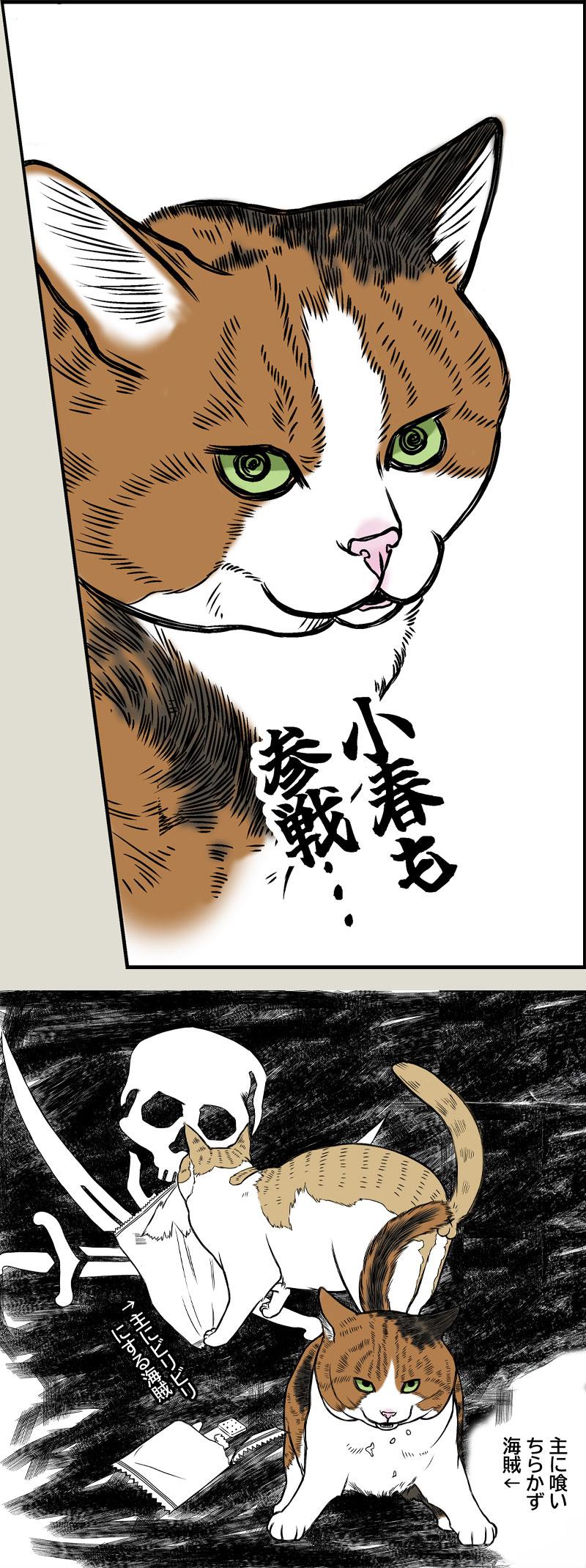 Pirates of the Caribenyan