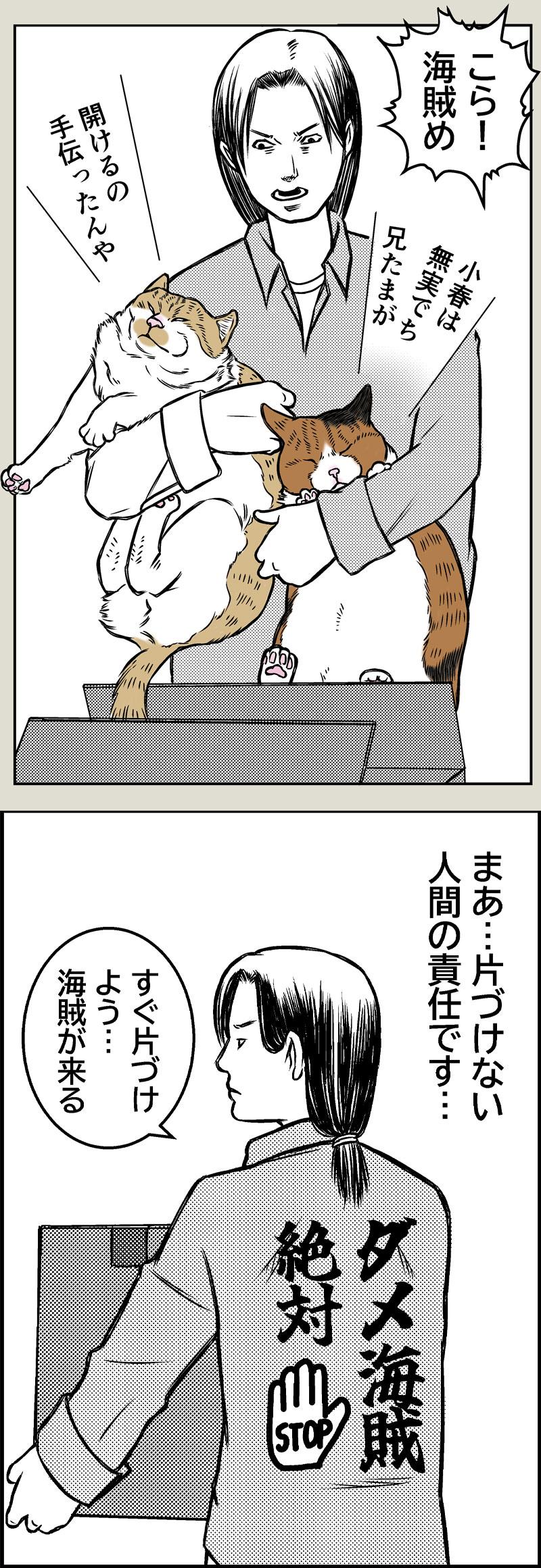 Pirates of the Caribenyan