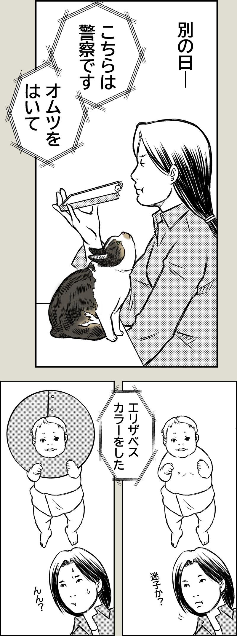 猫の人