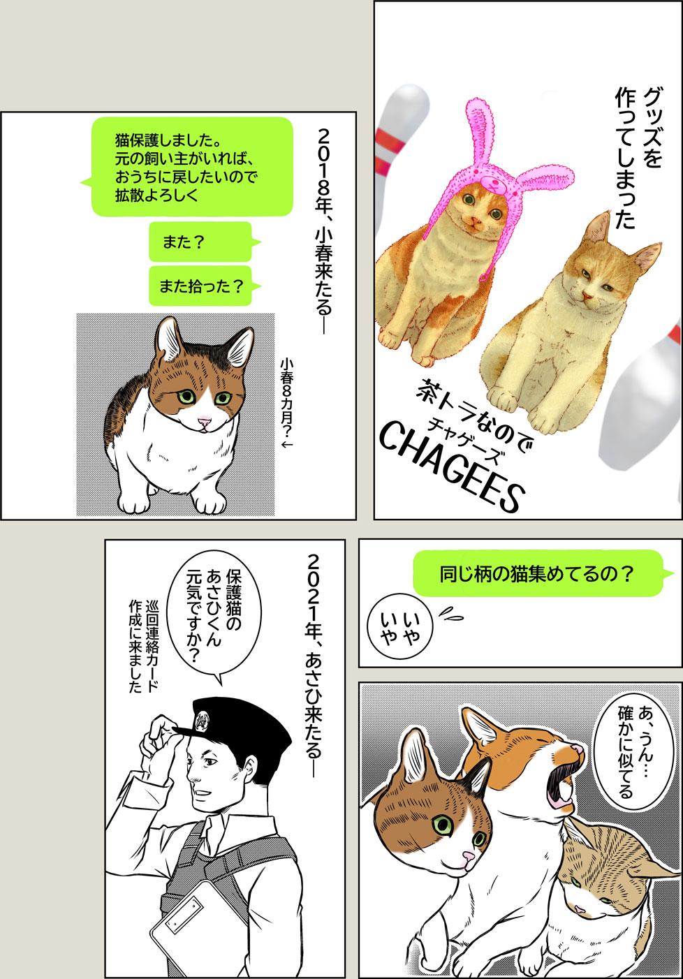 猫のお洋服