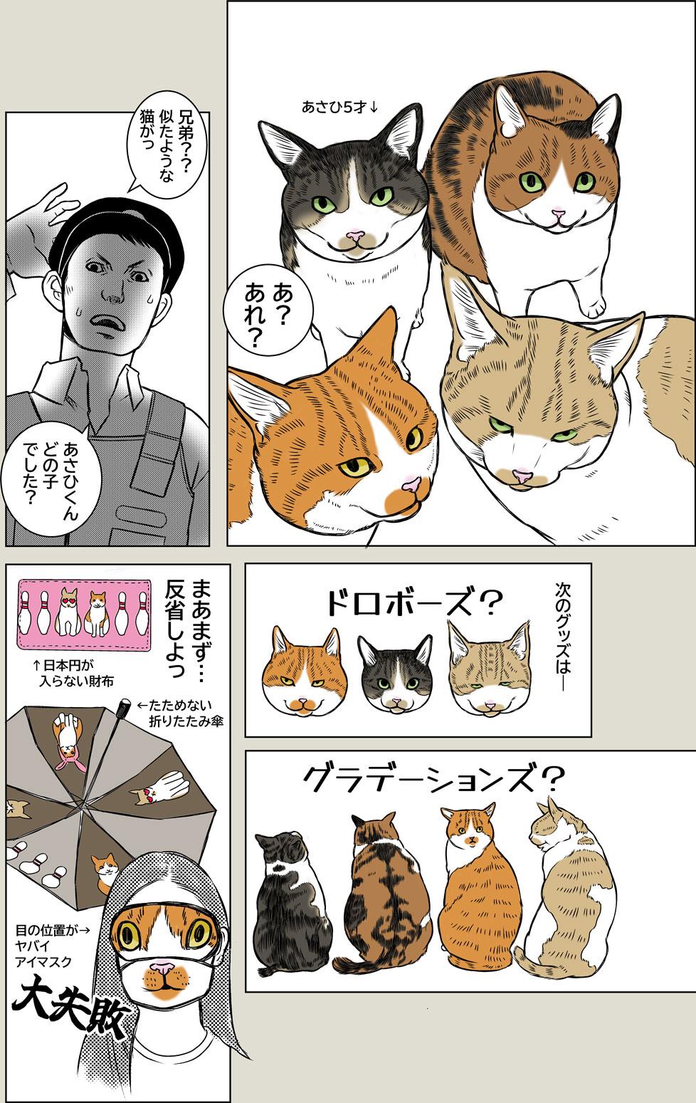 猫のお洋服
