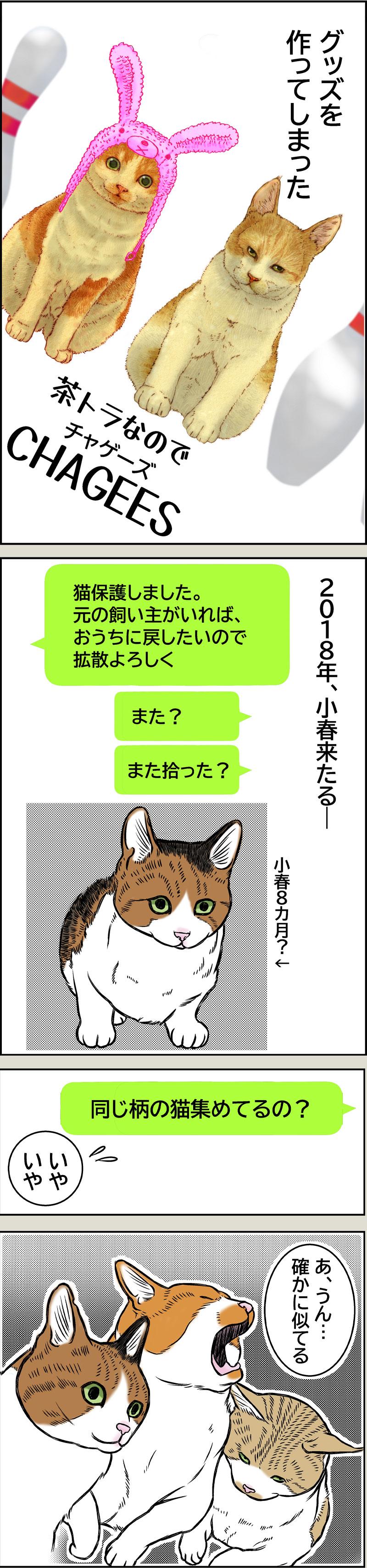 猫のお洋服