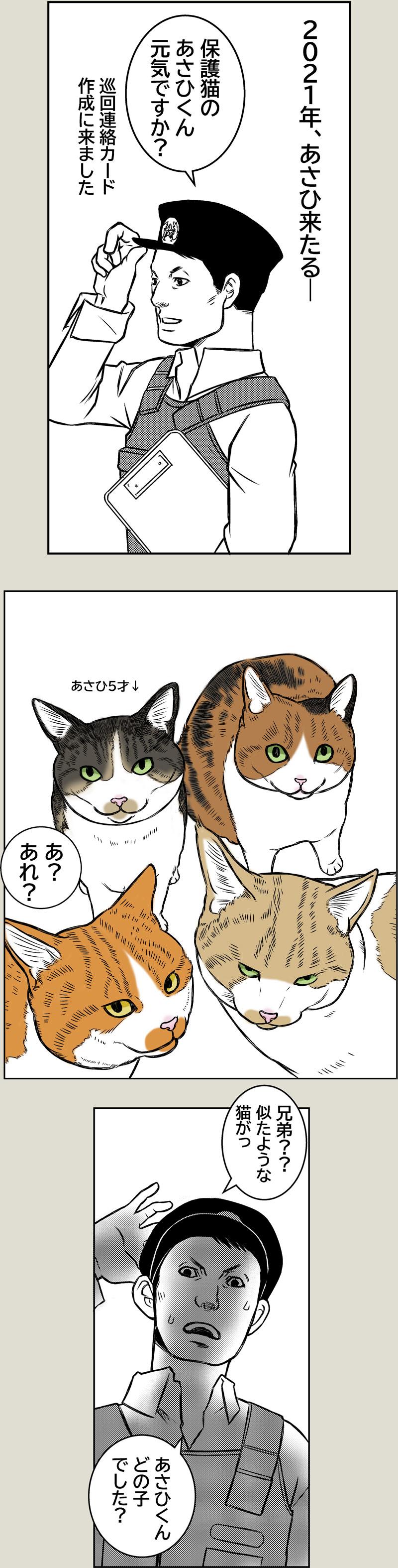猫のお洋服