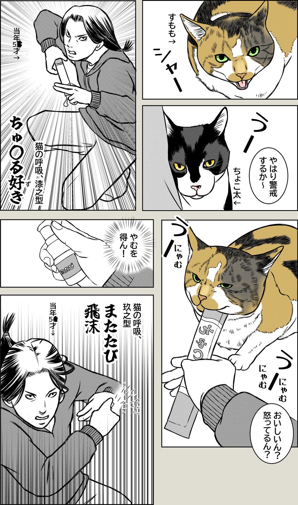 猫に近道なし