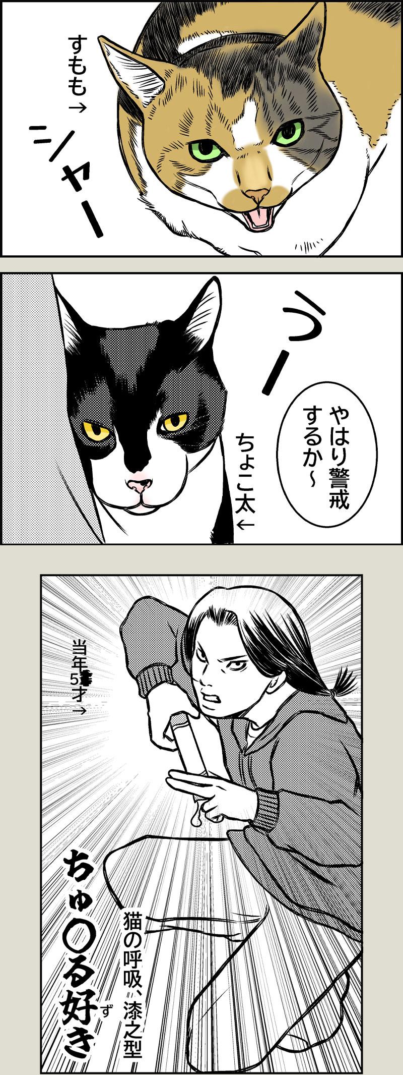 猫に近道なし