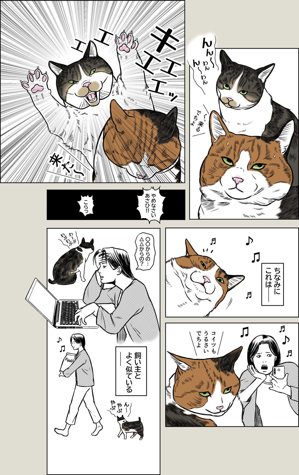 あさひくんの鼻歌