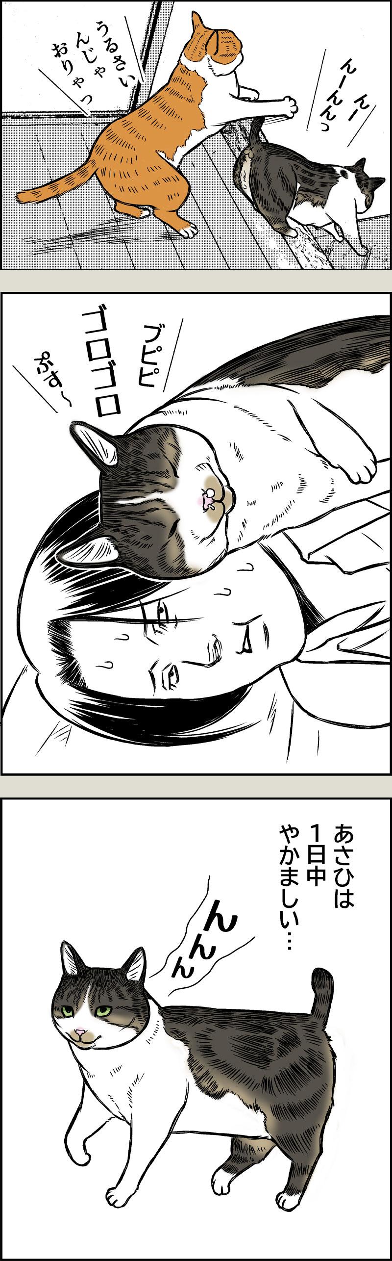 あさひくんの鼻歌