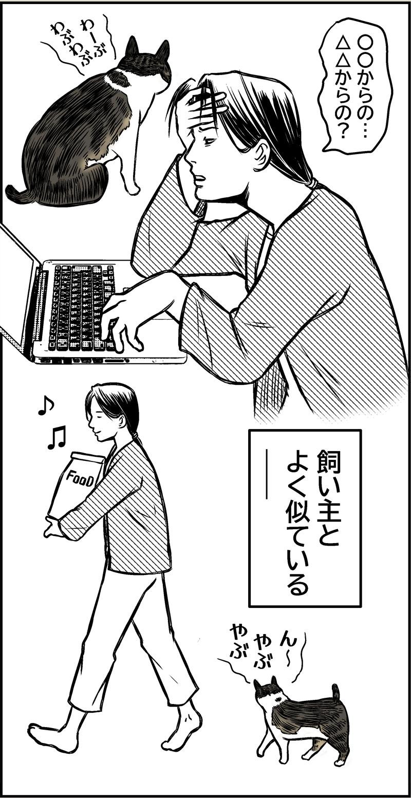あさひくんの鼻歌