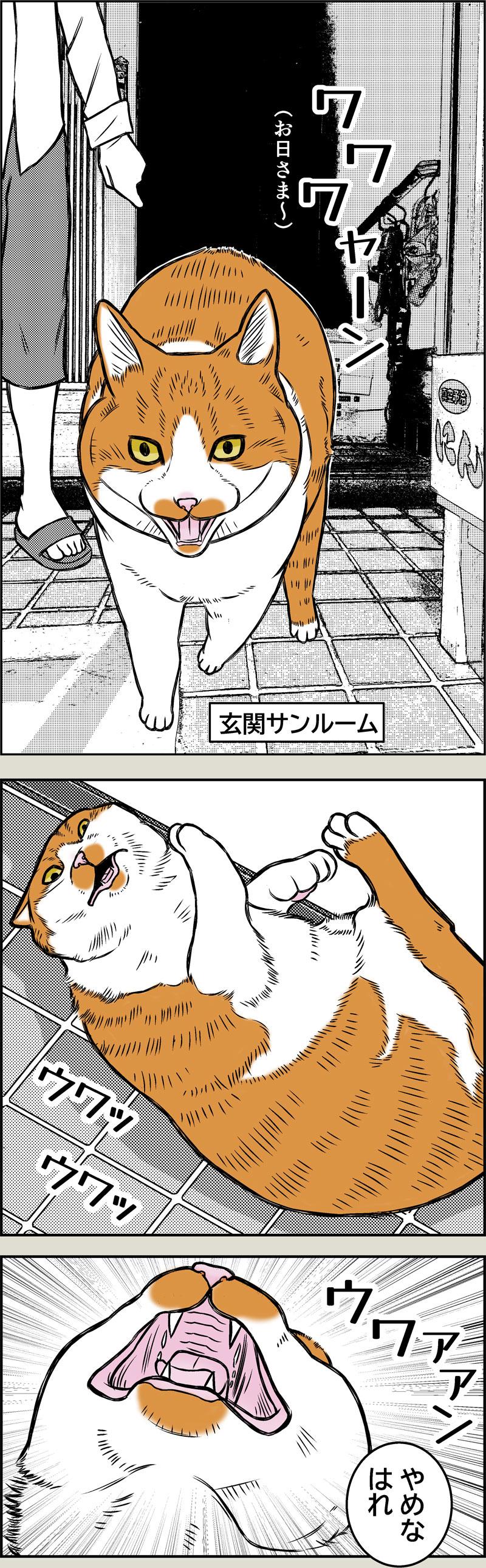 やさしい季節