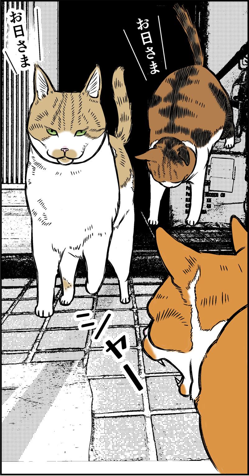 やさしい季節