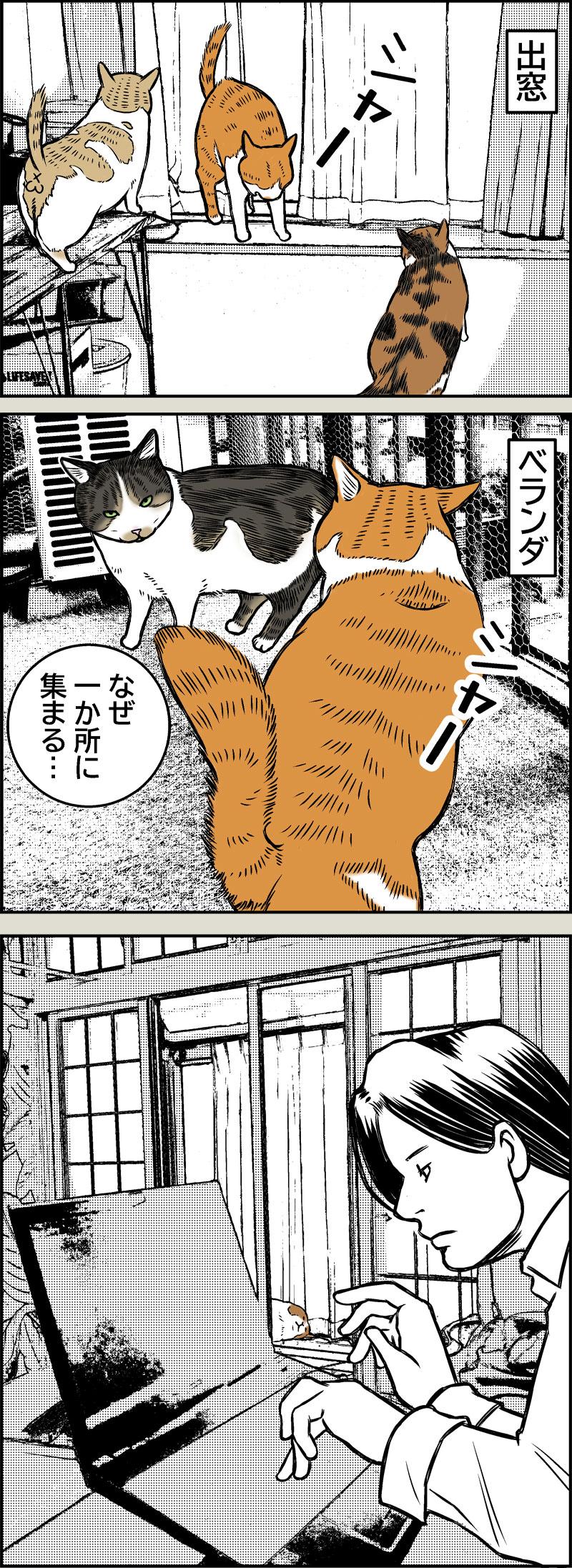 やさしい季節