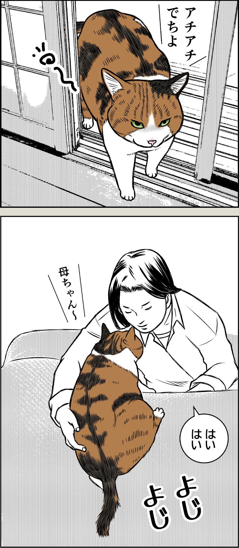 やさしい季節