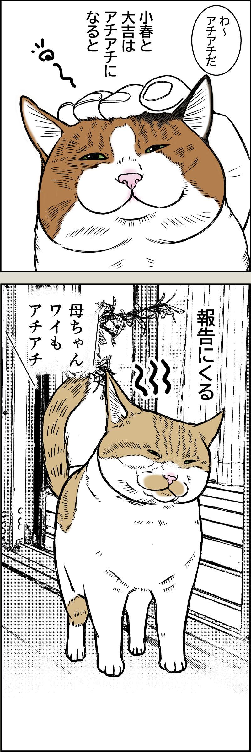 やさしい季節