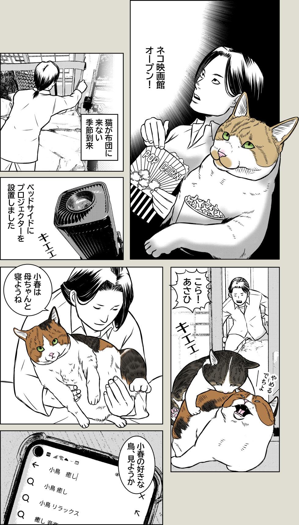 猫映画館OPEN