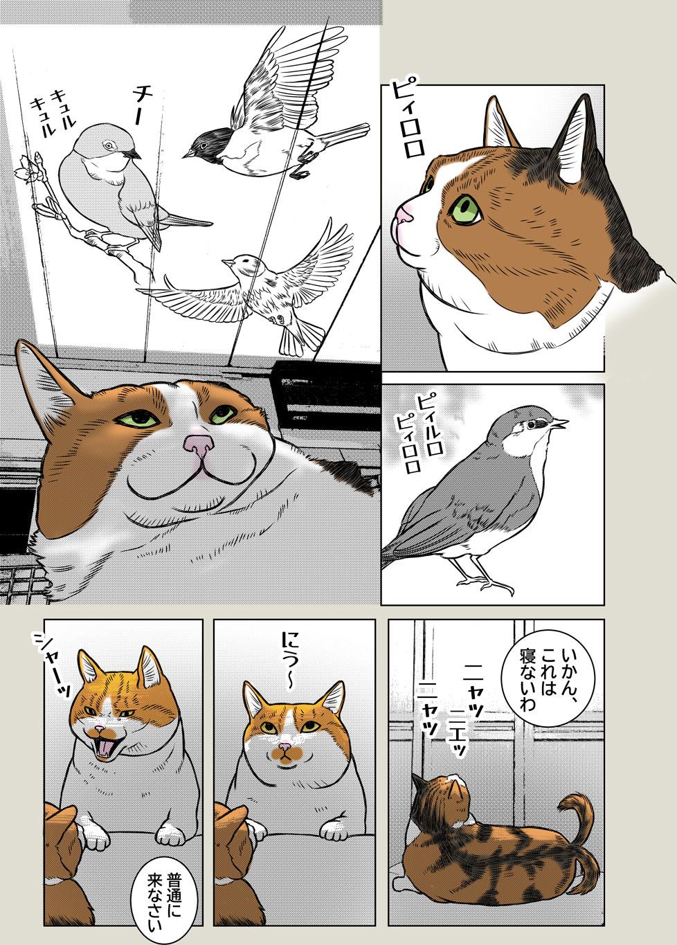 猫映画館OPEN