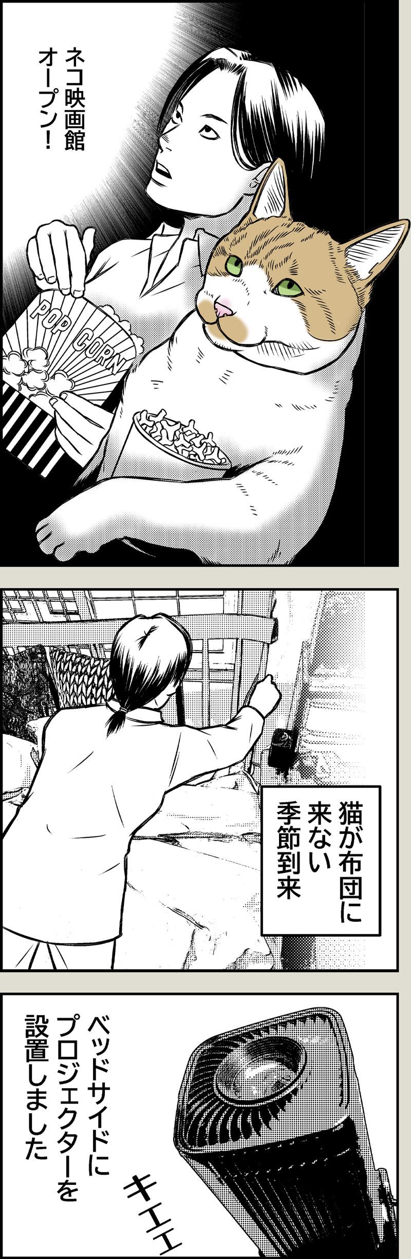 猫映画館OPEN