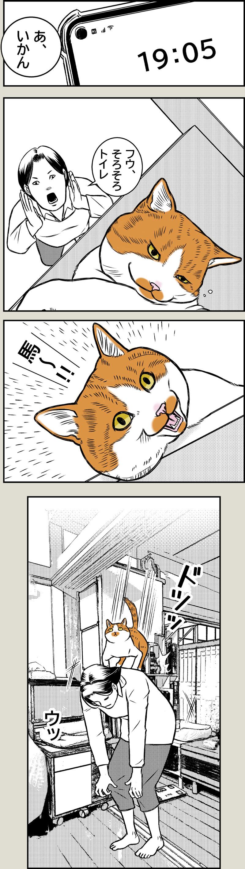 テイマーと従魔