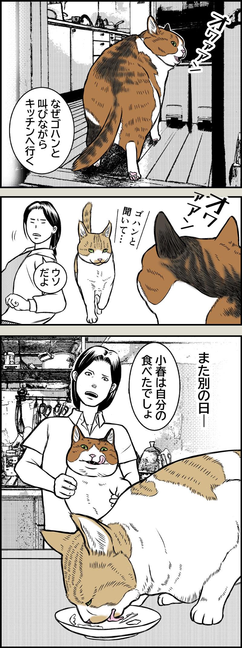 小春の食い意地