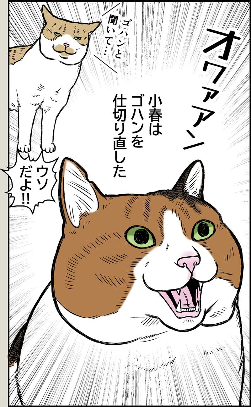 小春の食い意地