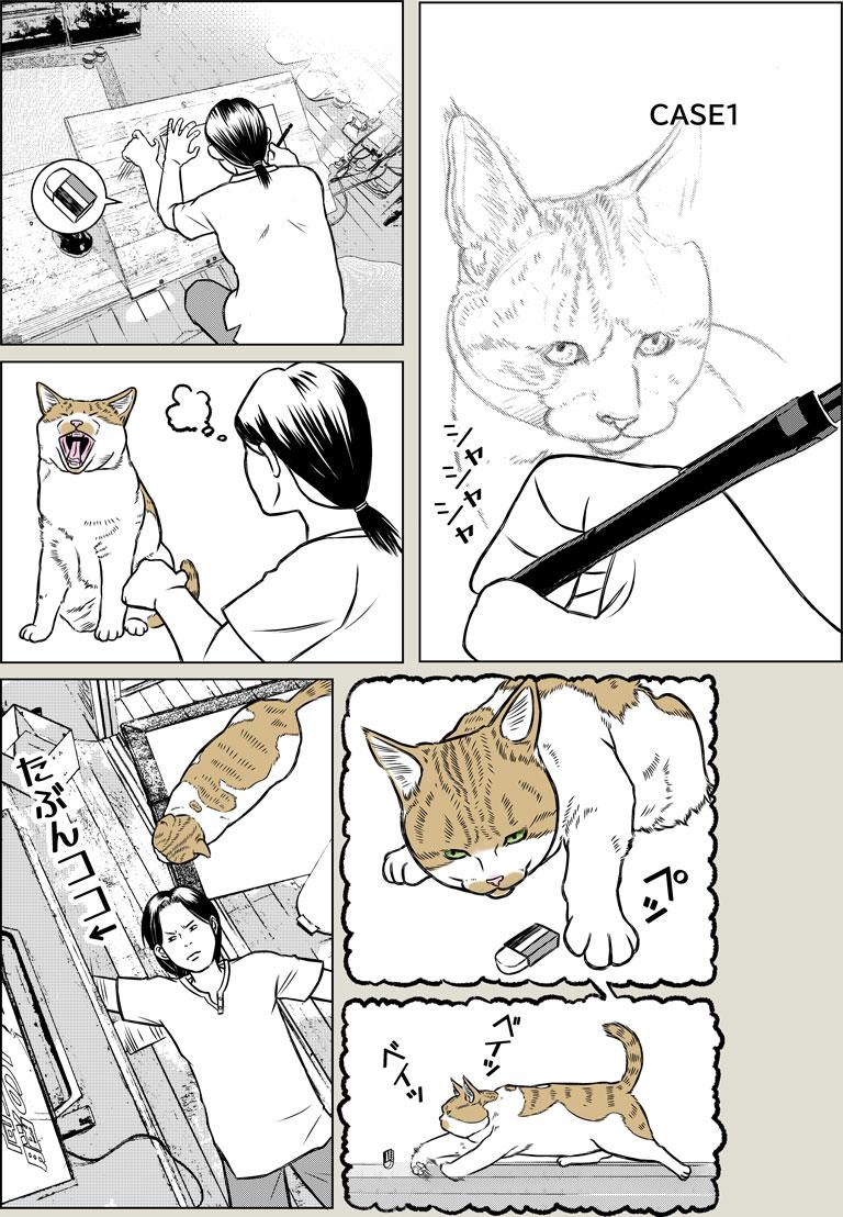 猫飼いの探し物