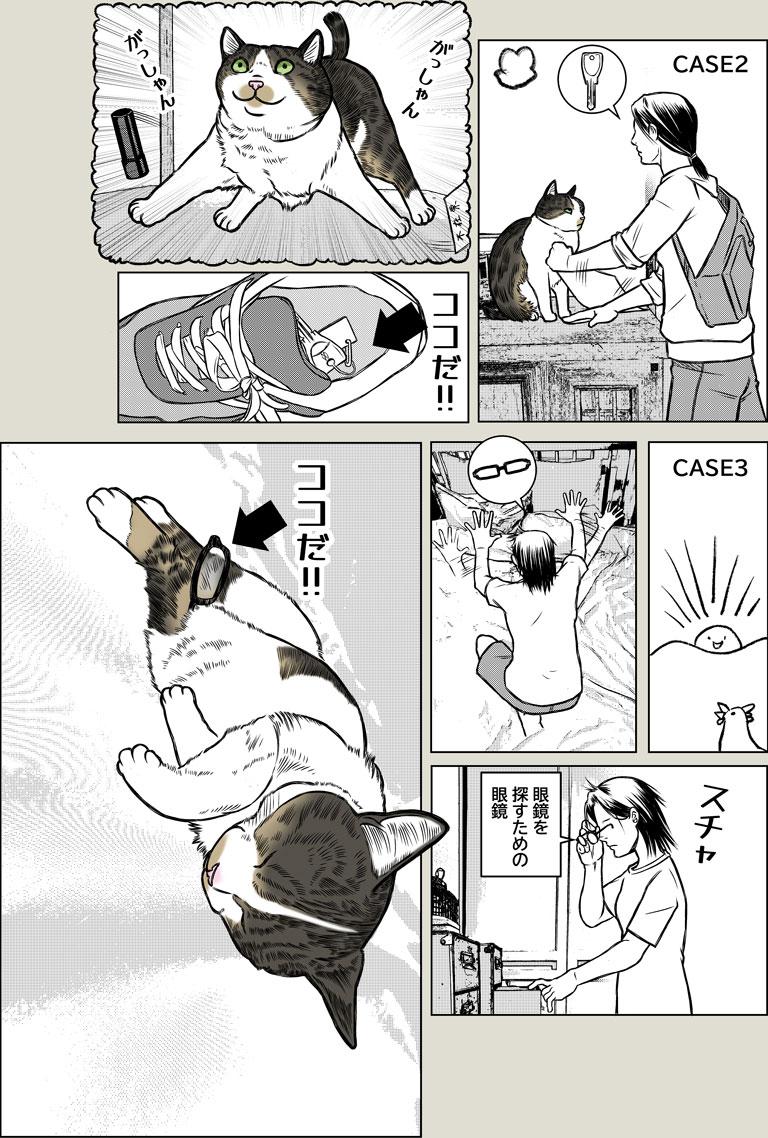 猫飼いの探し物