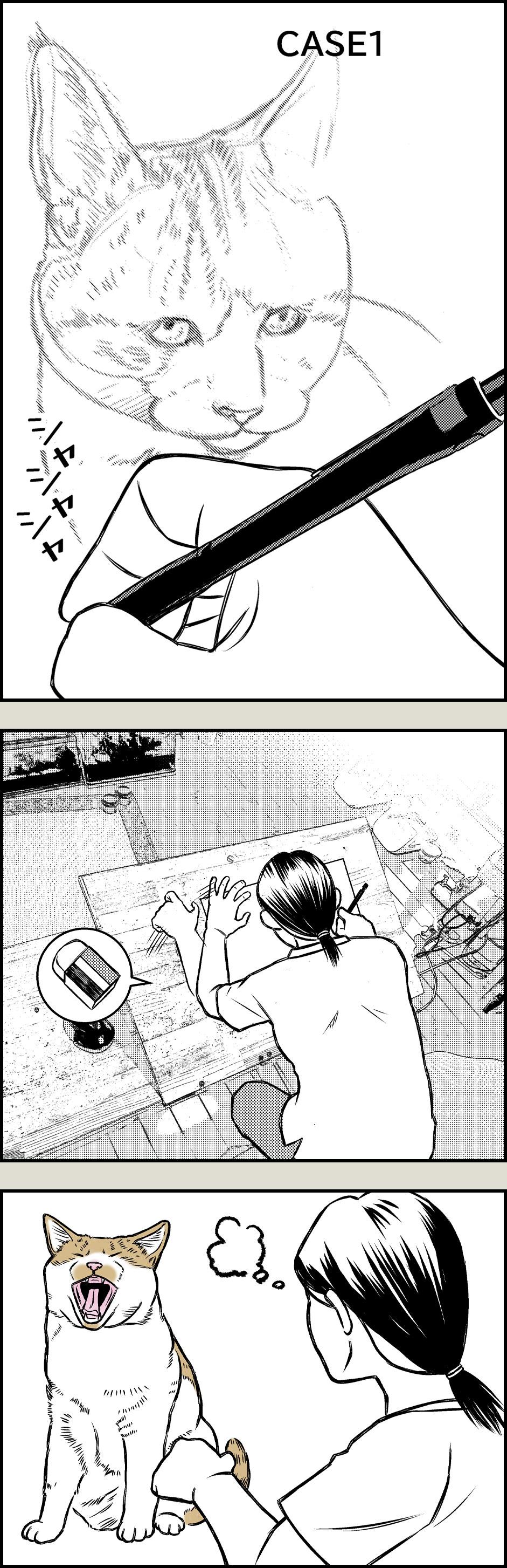 猫飼いの探し物