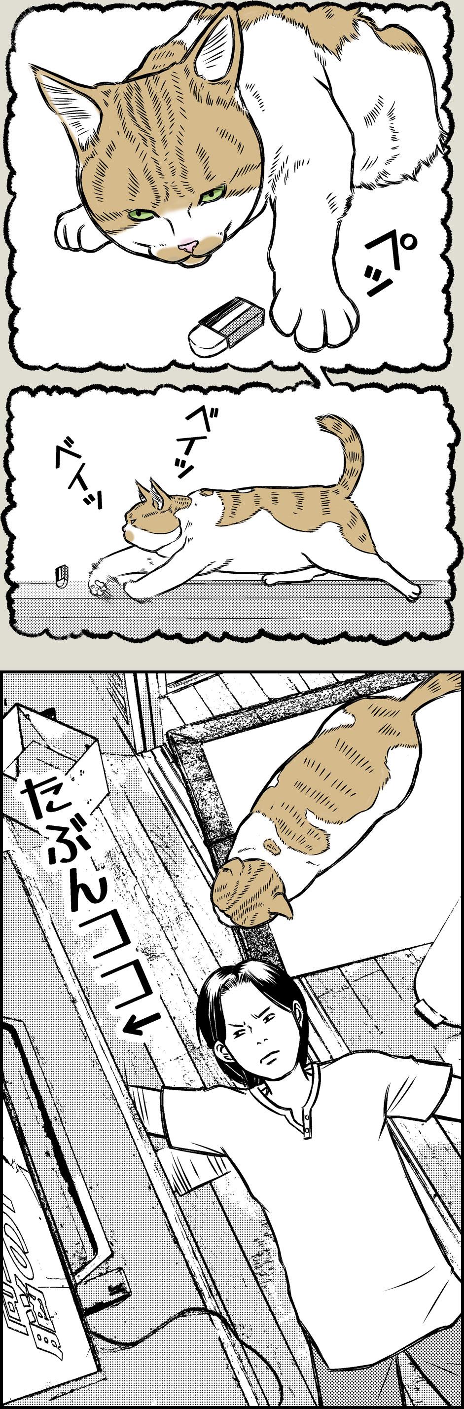 猫飼いの探し物