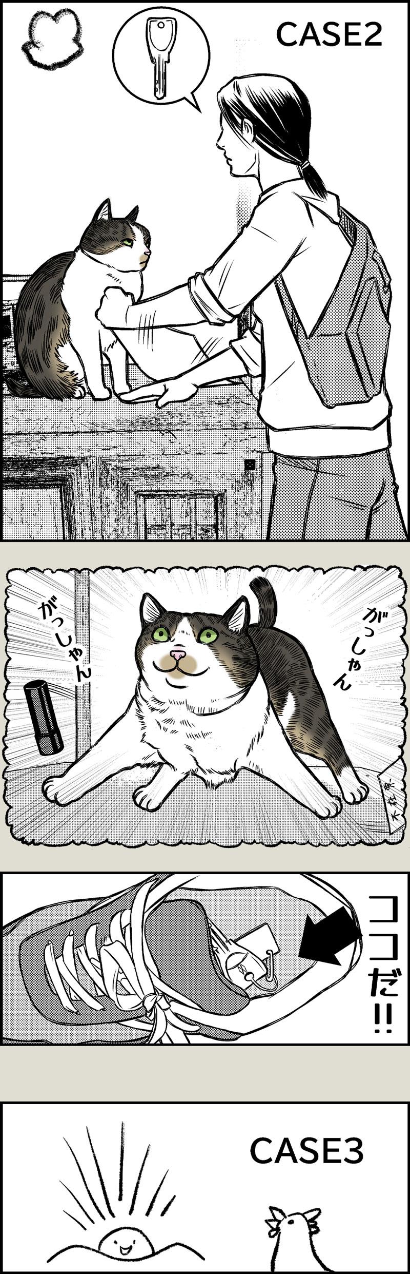 猫飼いの探し物