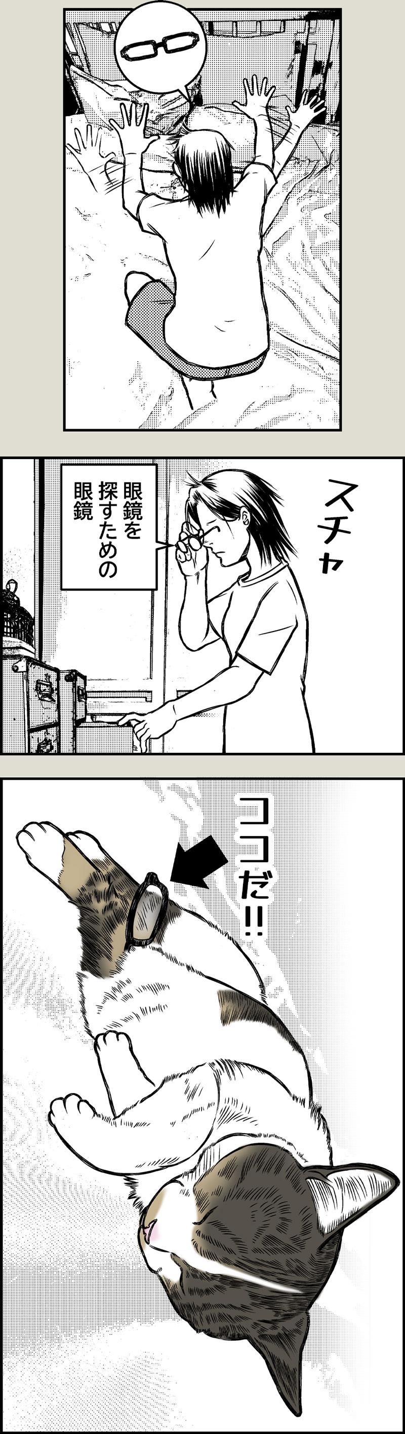 猫飼いの探し物物