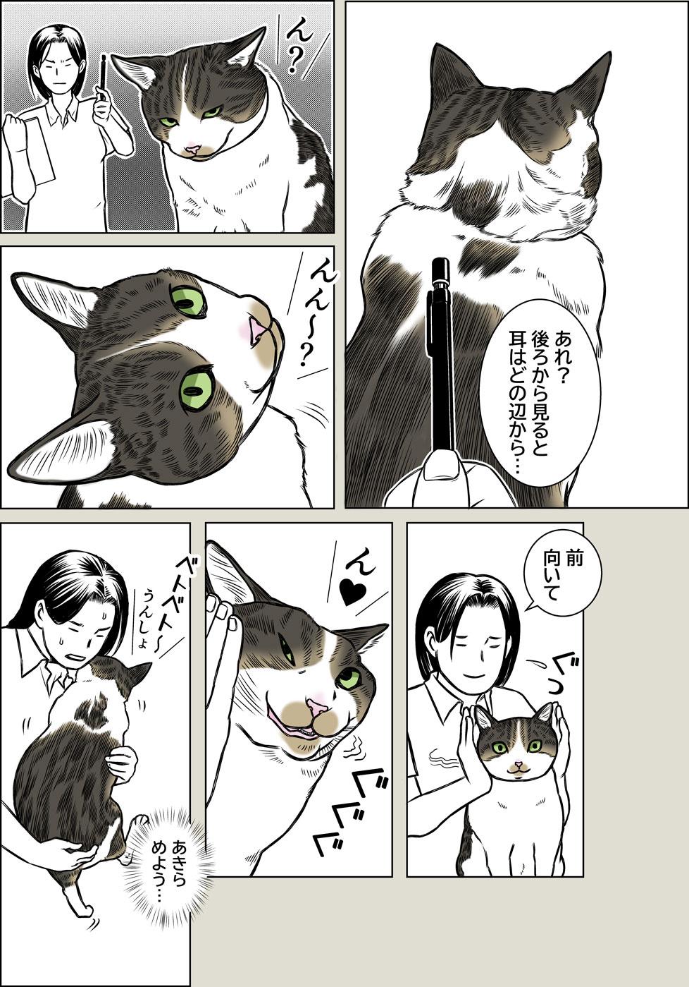 制作の現場より