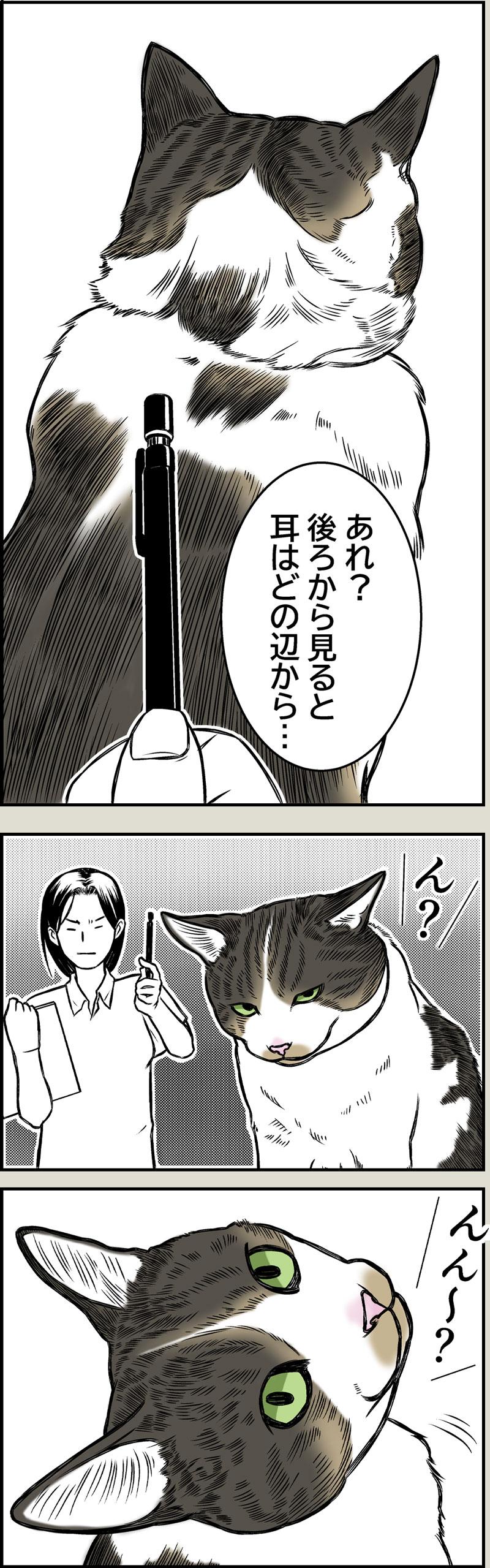 制作の現場より
