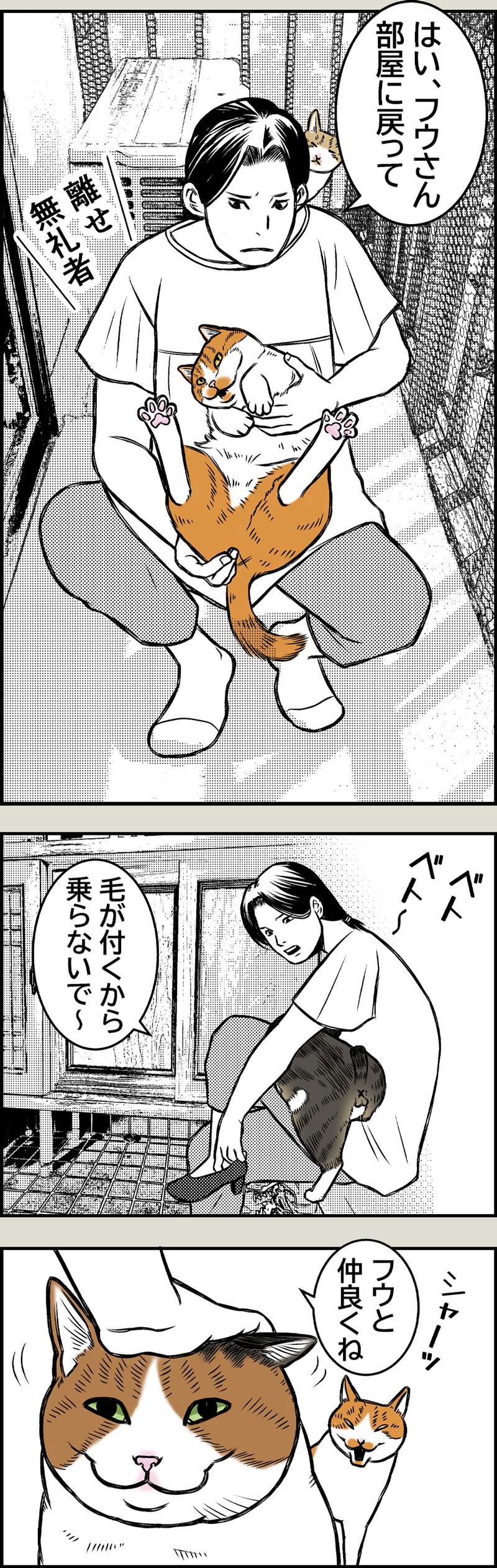 点呼せよ