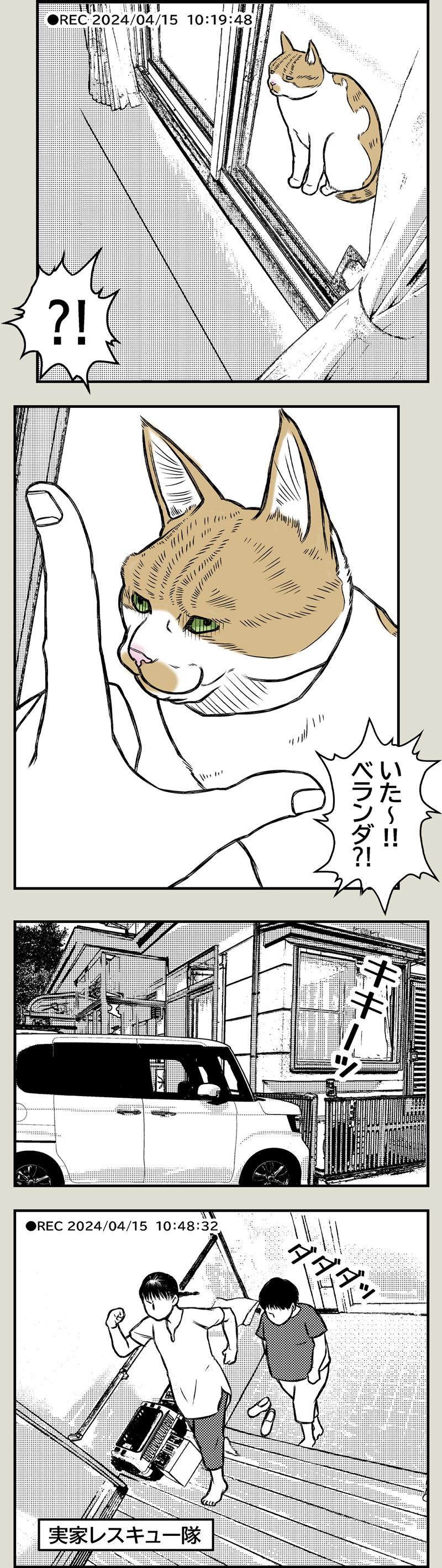 点呼せよ