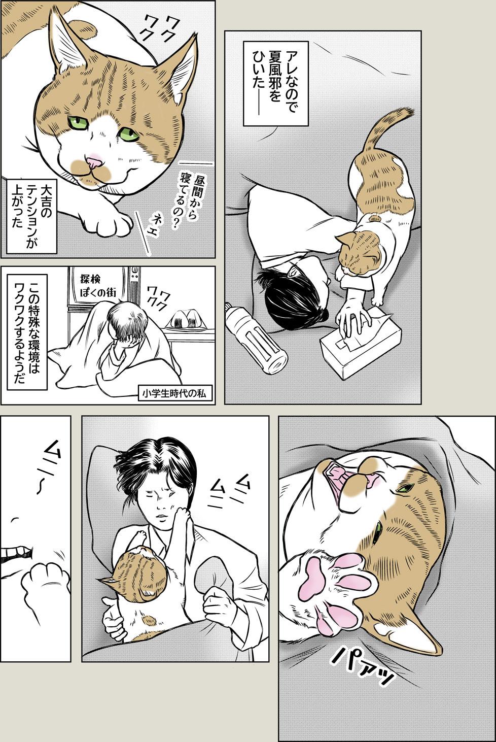 猫と夏風邪1