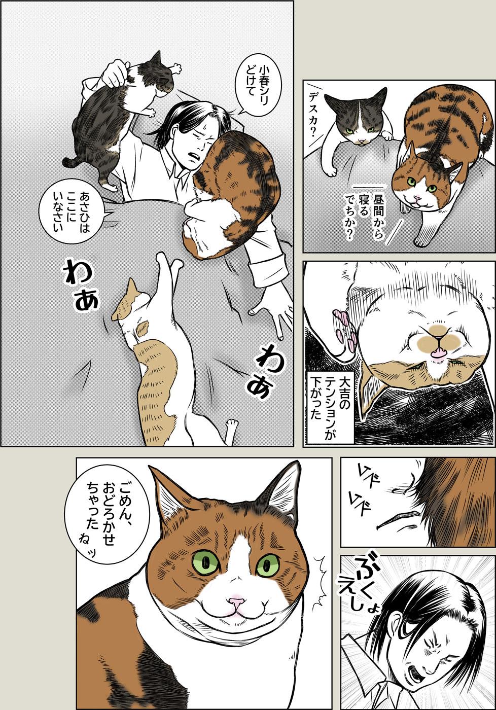猫と夏風邪1
