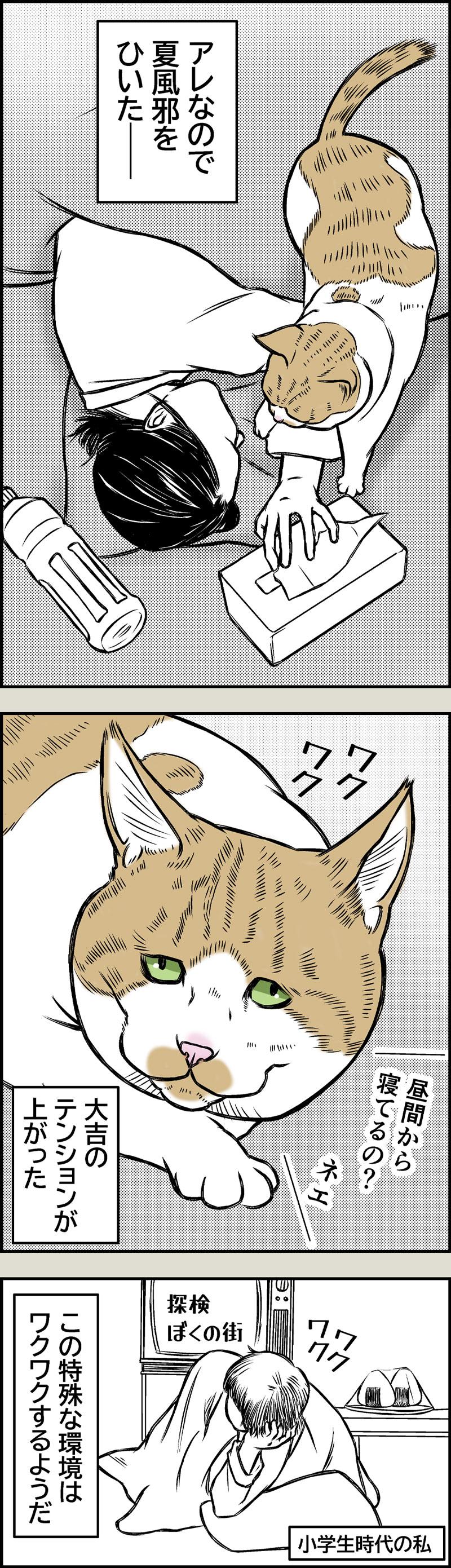 猫と夏風邪1