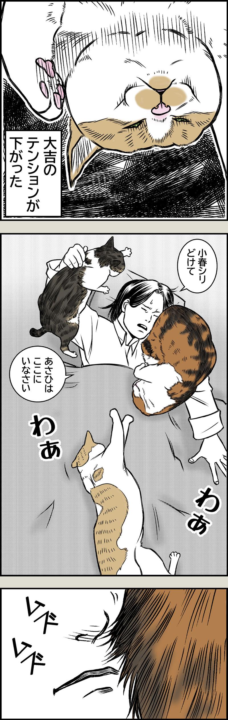 猫と夏風邪1